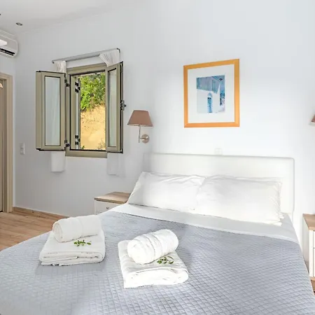 Kosyforema ジアロヴァ