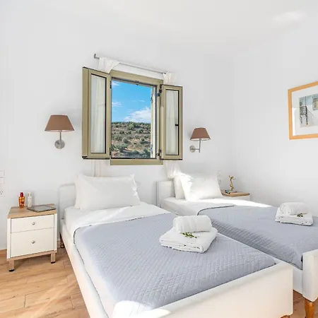 Kosyforema ジアロヴァ